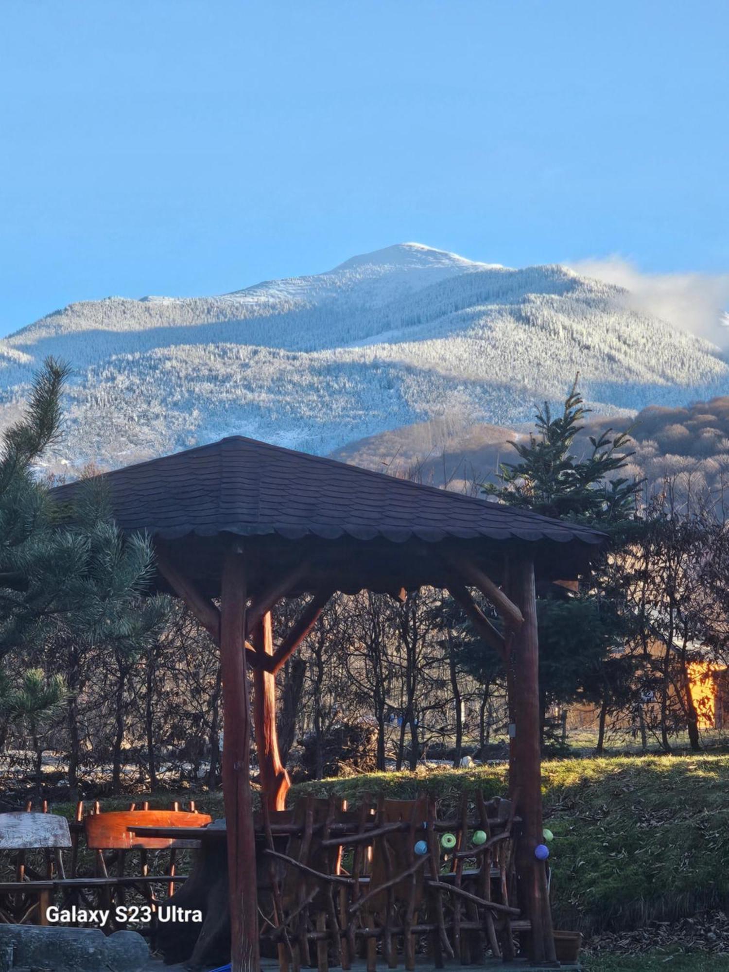 Casa De Vacanta Marin Arpasu de Sus Luaran gambar