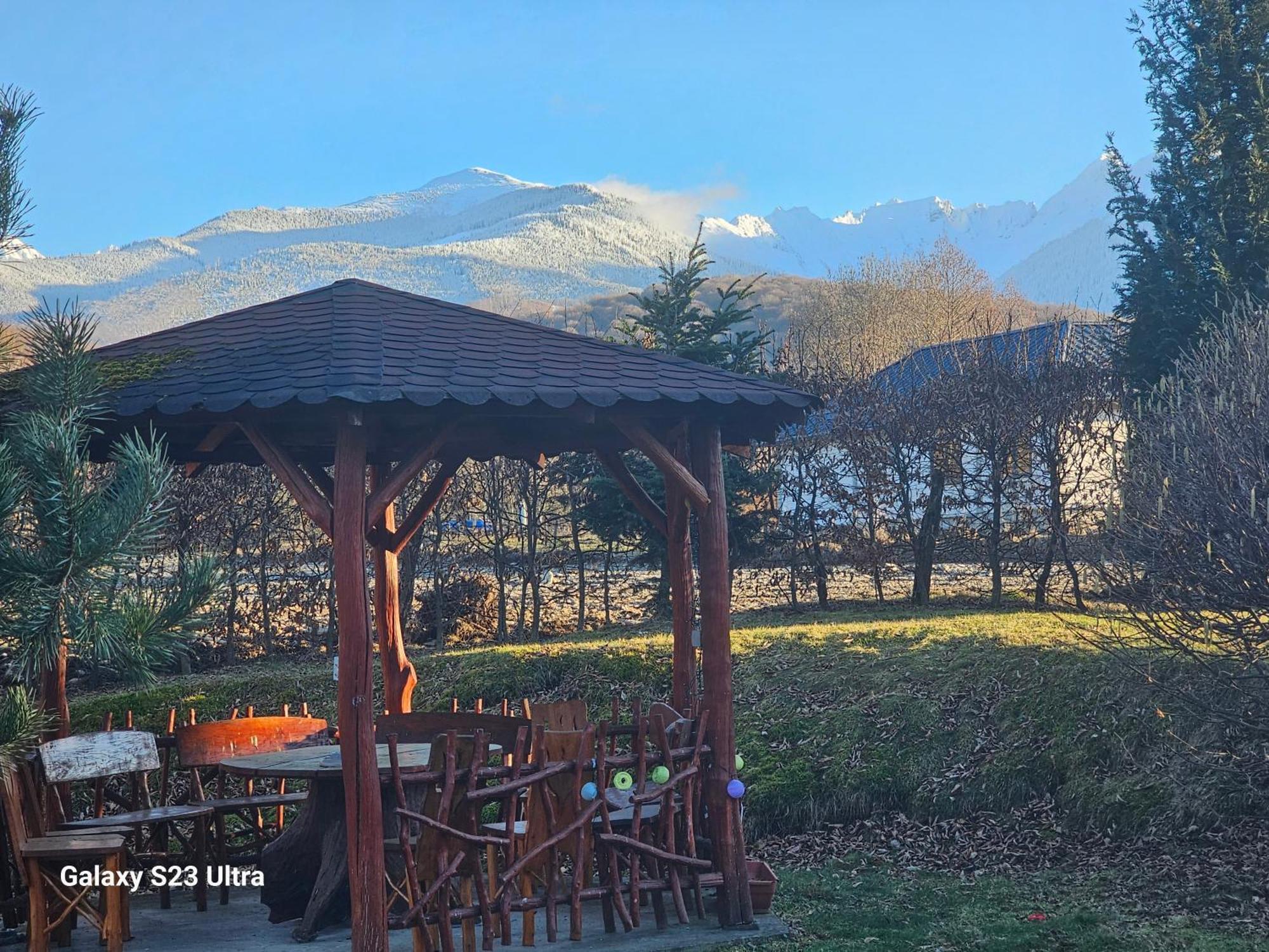 Casa De Vacanta Marin Arpasu de Sus Luaran gambar