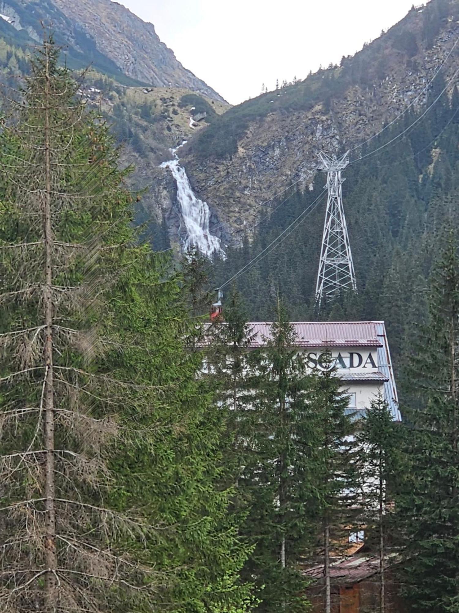 Casa De Vacanta Marin Arpasu de Sus Luaran gambar