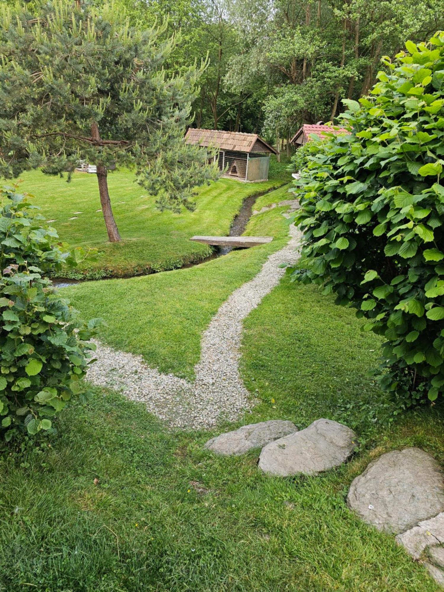 Casa De Vacanta Marin Arpasu de Sus Luaran gambar