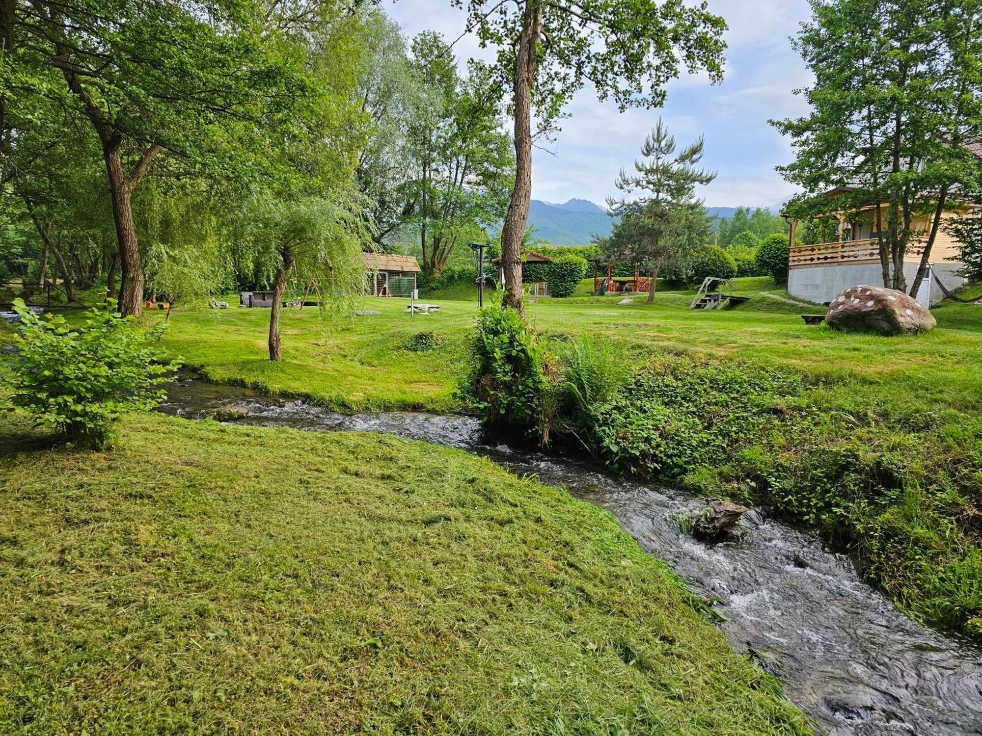 Casa De Vacanta Marin Arpasu de Sus Luaran gambar
