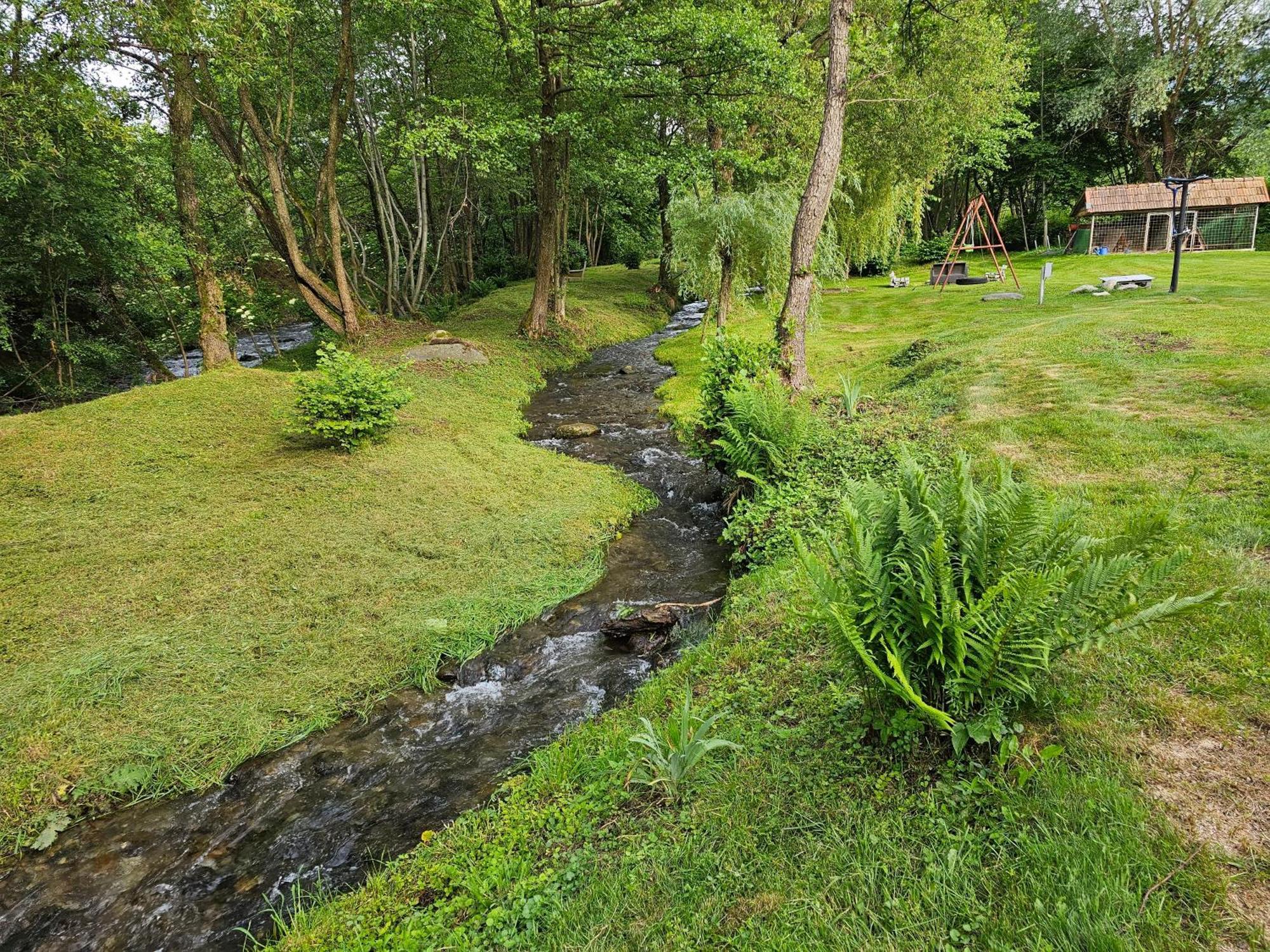 Casa De Vacanta Marin Arpasu de Sus Luaran gambar