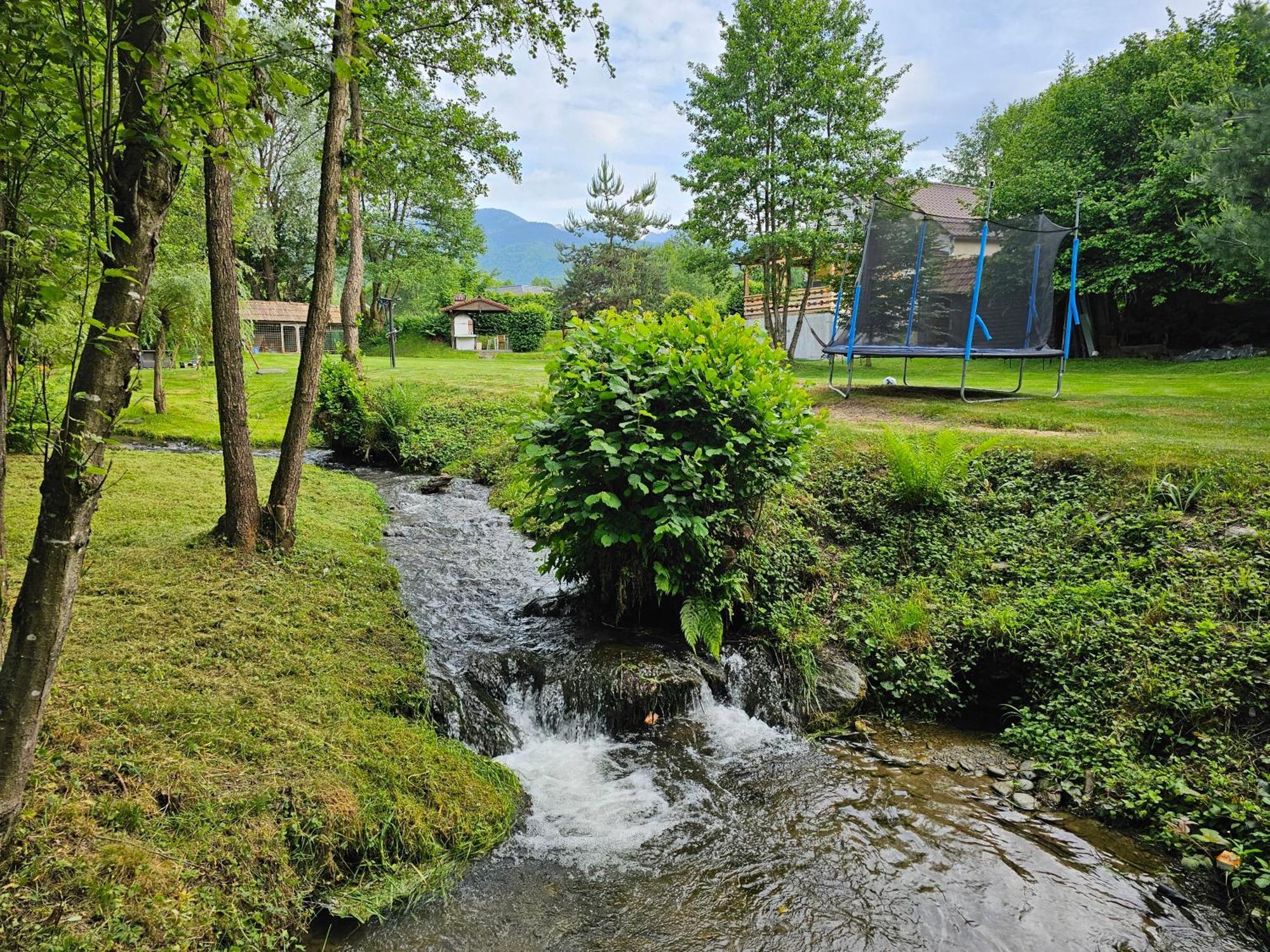 Casa De Vacanta Marin Arpasu de Sus Luaran gambar