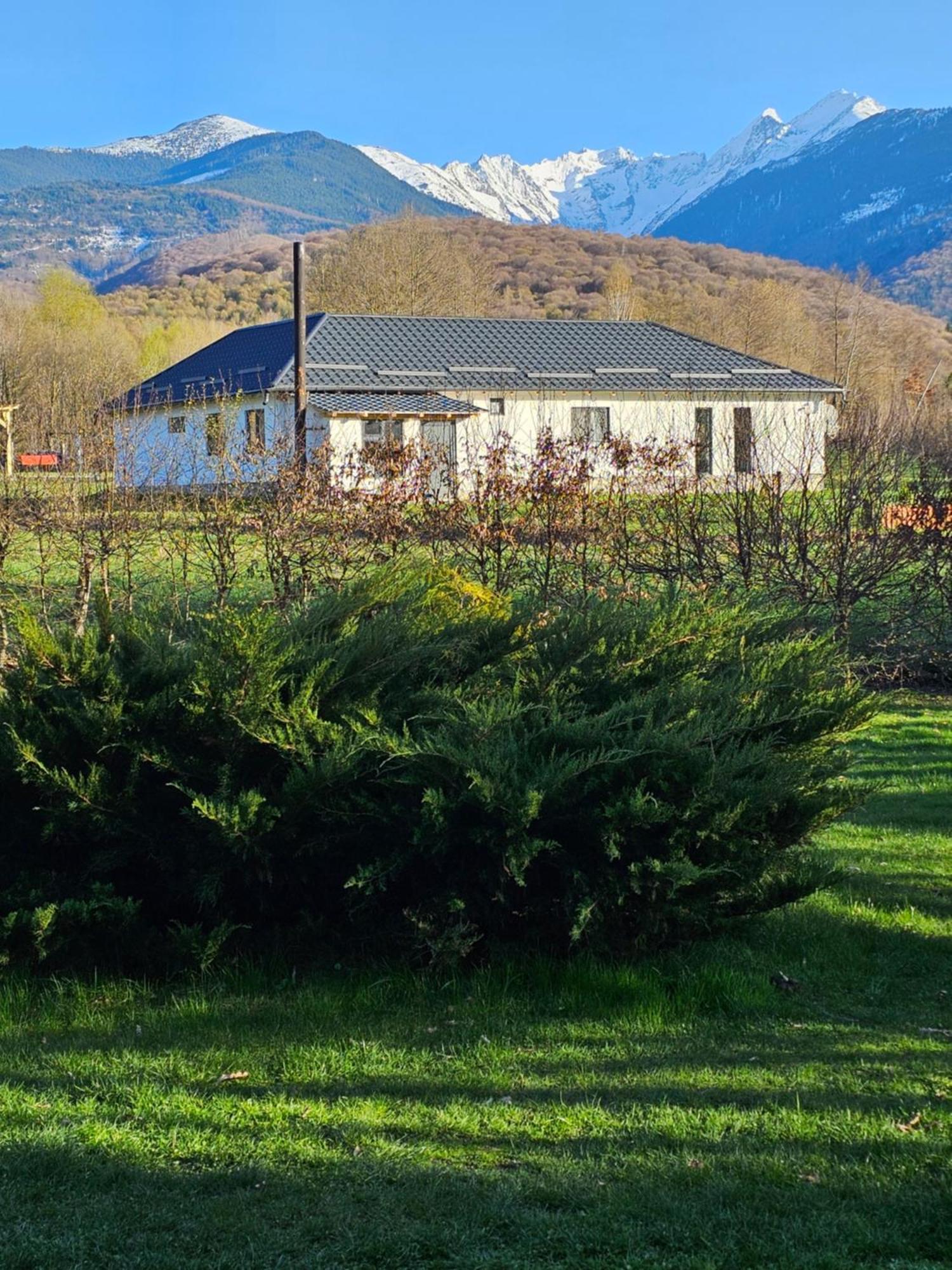 Casa De Vacanta Marin Arpasu de Sus Luaran gambar